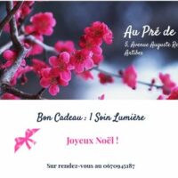 Carte bon cadeau pour un soin de drainage du visage au cabinet de soins Au Pré de Soie. L'en-tête du bon est une image de cerisiers japonais en fleur très coloré. Le bon cadeau indique le nom du soin et un texte personnalisé.